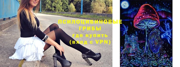 прущие крисы Абинск