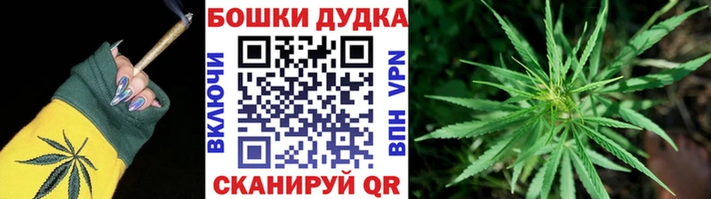 МЕГА ССЫЛКА Благодарный Каннабис SATIVA & INDICA